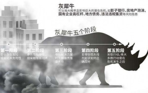 小心，中國產(chǎn)業(yè)園區(qū)的“灰犀牛”又來了！